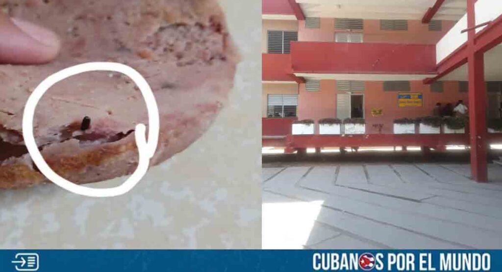 DE MAL EN PEOR: Estudiantes de una escuela en Holguín recibieron una mortadela con huevos de cucaracha