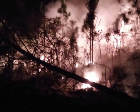 Incendio forestal consume 200 hectáreas en Minas de Matahambre y amenaza con expandirse