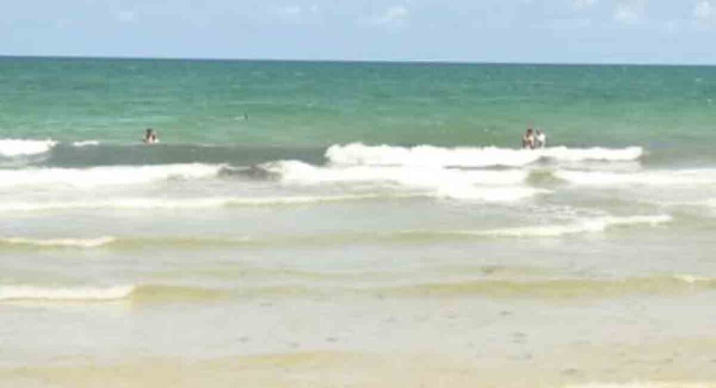 Mujer fue atacada por un animal marino en Florida