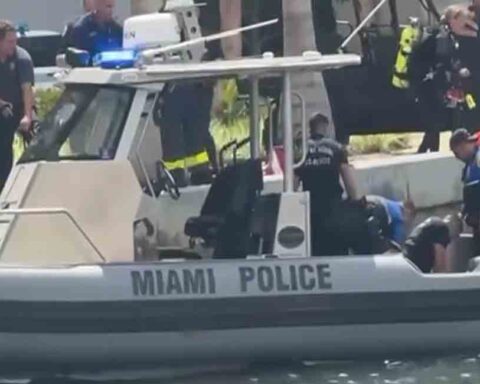 Violencia en Miami: Empujó a una mujer al río y fue detenido por la policía