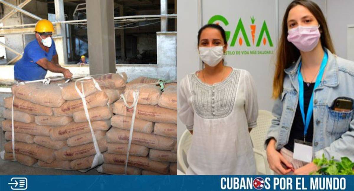 Una reciente investigación reveló como la nieta de Raúl Castro, Lisa Titolo, está involucrada en la importación de cemento desde Estados Unidos para utilizarlo en sus negocios.