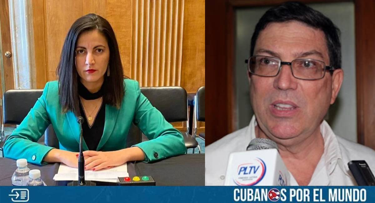 La dictadura castrista armó su respectiva pataleta tras conocer que la opositora cubana Rosa María Payá resultó electa para integrar la Comisión Interamericana de Derechos Humanos (CIDH).