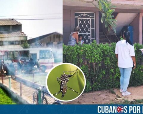 El régimen castrista confirmó un brote de Chikungunya en el Consejo Popular España Republicana, ubicado en el municipio de Perico, en la provincia de Matanzas.