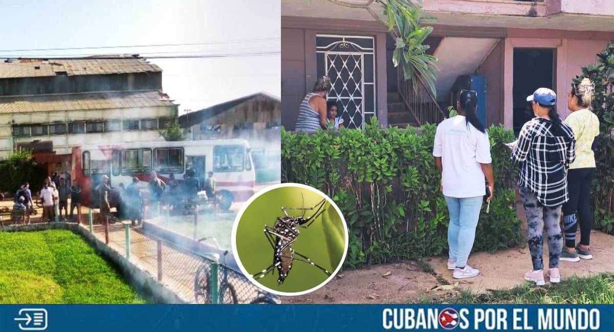 El régimen castrista confirmó un brote de Chikungunya en el Consejo Popular España Republicana, ubicado en el municipio de Perico, en la provincia de Matanzas.