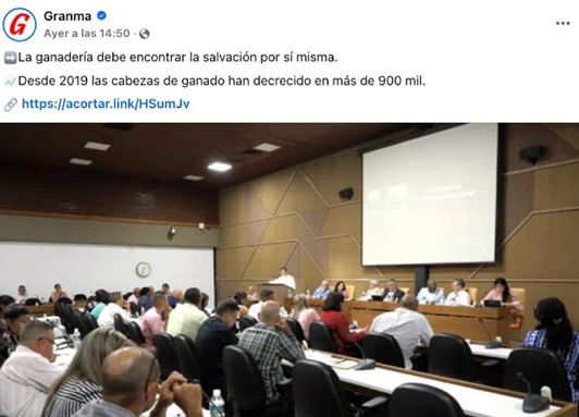 Cuba pierde más de 900 mil cabezas de ganado desde 2019 en medio de una crisis 