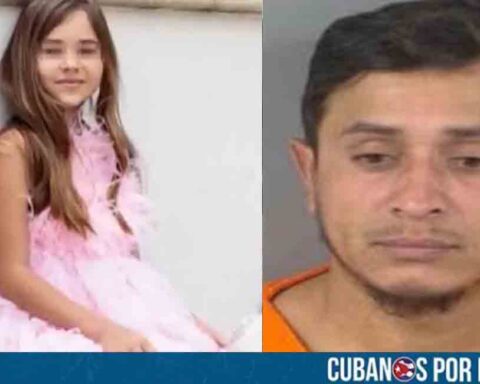Florida: Hombre que rescató a niña atacada por tiburón fue detenido por ICE