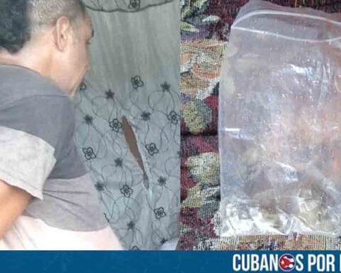 La Habana: Capturan a presunto traficante de drogas