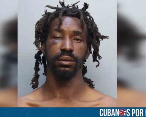 Miami: Hombre arrestado tras atacar a una mujer con un martillo en una parada de autobús