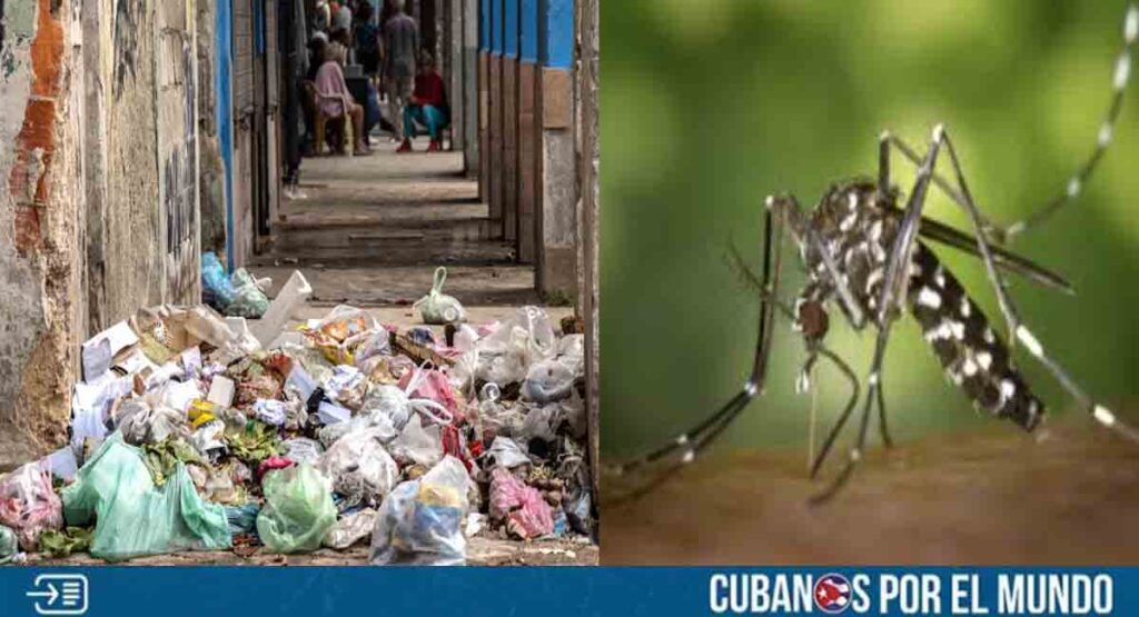 El chikungunya pone en jaque a la comunidad de Perico, Matanzas