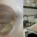 Una libra de azúcar por persona: el nuevo símbolo del hambre en Cuba