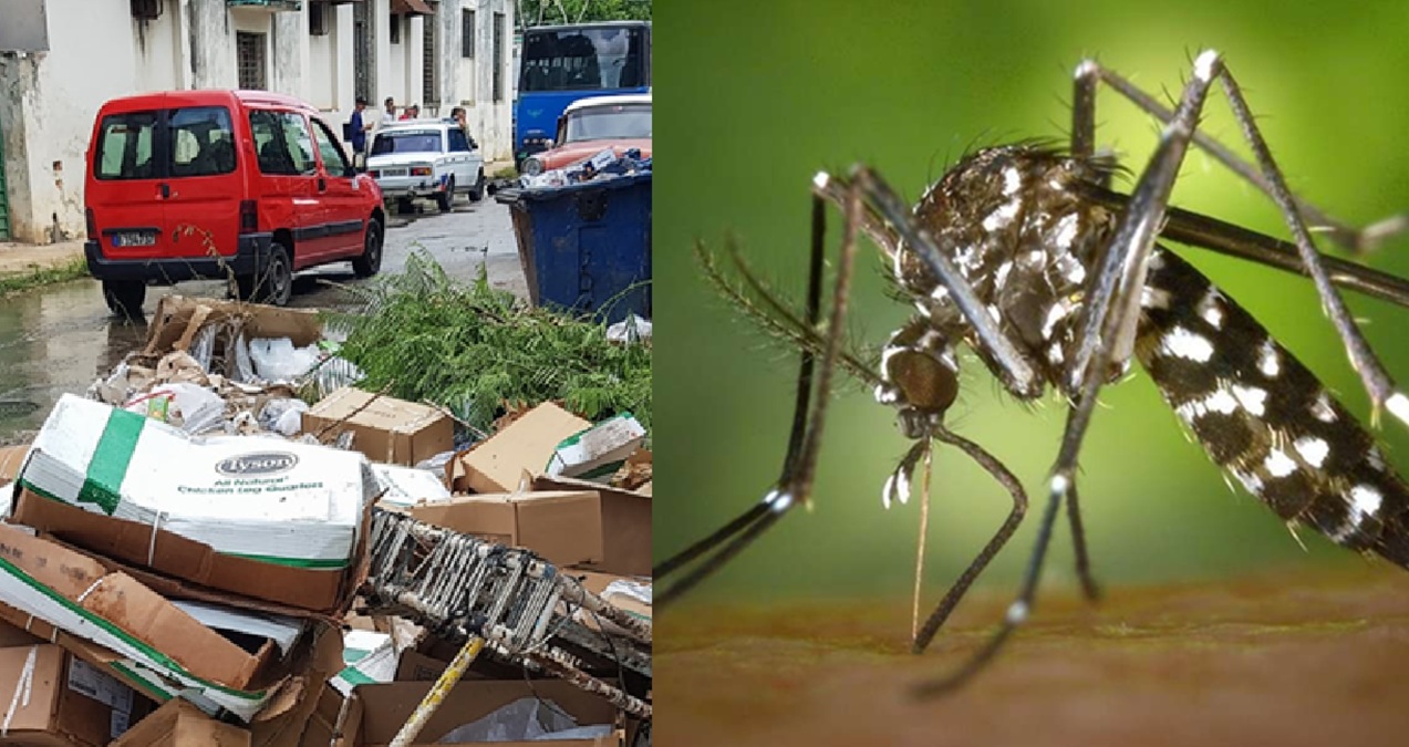 Aumenta la crisis epidemiológica en Cárdenas con contagios de dengue y chikungunya