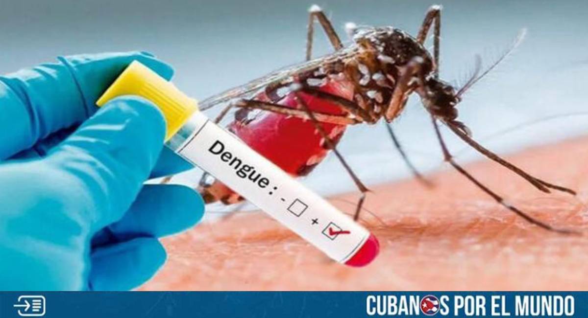 La dictadura castrista a través del Ministerio de Salud Pública (MINSAP) reconoció en días pasados el repunte de casos graves de dengue en Cuba.