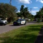 Hombre resultó herido tras ataque de un perro en Florida; un policía disparó al animal