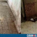 Denuncian pésimas condiciones en el Hospital Materno de Camagüey
