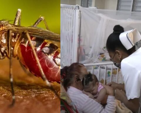 MINSAP reporta más de 4.400 casos febriles sin especificar su diagnóstico en el país