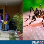 El Ministerio de Salud Pública en Ecuador activó protocolos de control y vigilancia tras detectar dos casos importados de chikungunya en viajeros procedentes de Cuba.