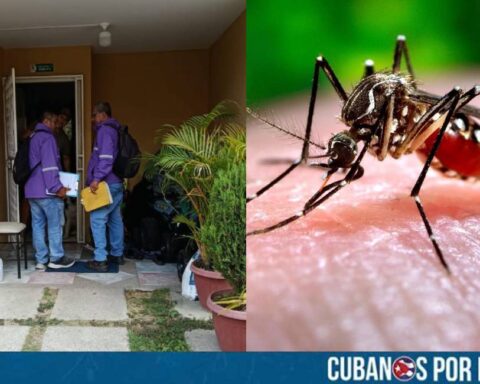 El Ministerio de Salud Pública en Ecuador activó protocolos de control y vigilancia tras detectar dos casos importados de chikungunya en viajeros procedentes de Cuba.