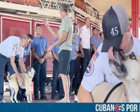 Emotivo momento en Florida: Perro se encuentra con los bomberos que lo salvaron de un incendio