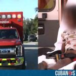 Hospitalizado niño en Florida tras ser atacado por un perro