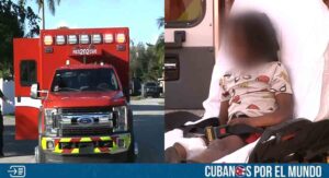 Hospitalizado niño en Florida tras ser atacado por un perro