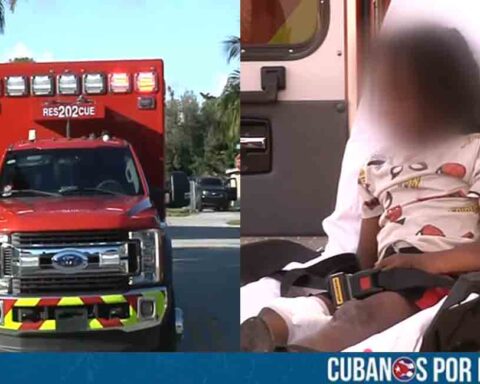 Hospitalizado niño en Florida tras ser atacado por un perro