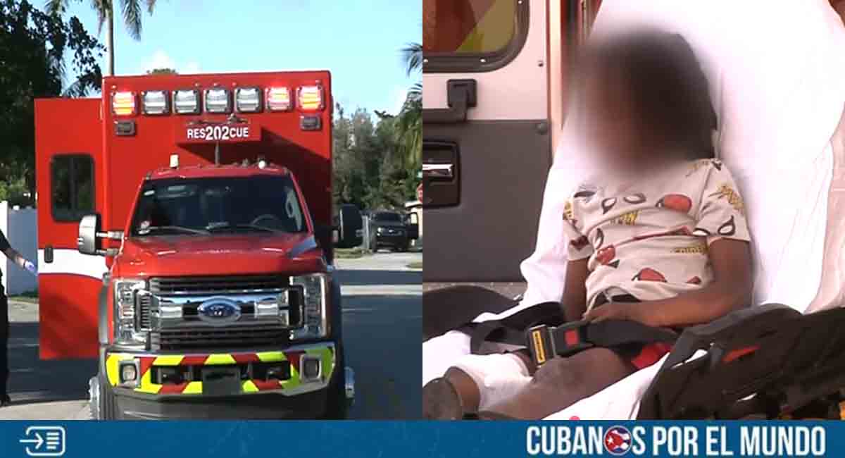 Hospitalizado niño en Florida tras ser atacado por un perro