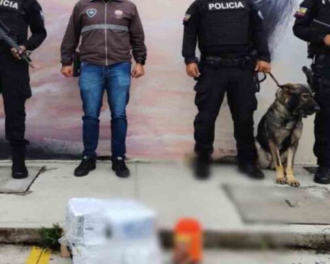 Policía de Ecuador frustra envío de droga a La Habana; estaba oculta en chocolate
