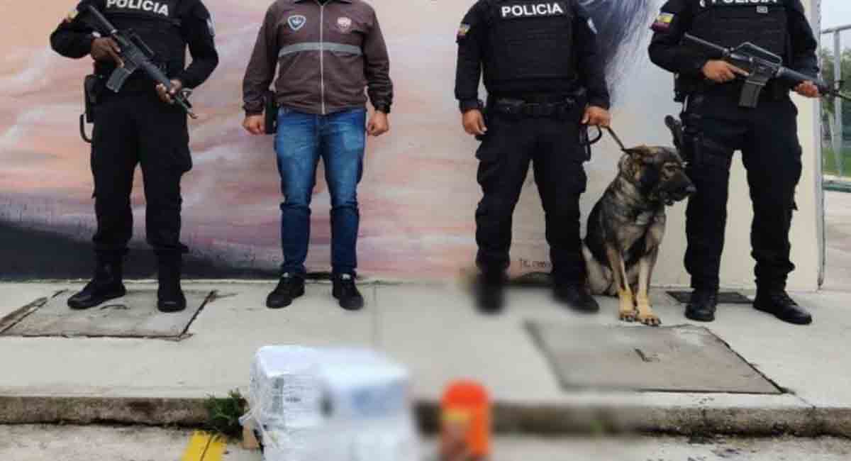 Policía de Ecuador frustra envío de droga a La Habana; estaba oculta en chocolate