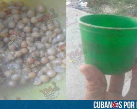 Denuncian la pésima alimentación que reciben estudiantes en un seminternado de Santiago de Cuba