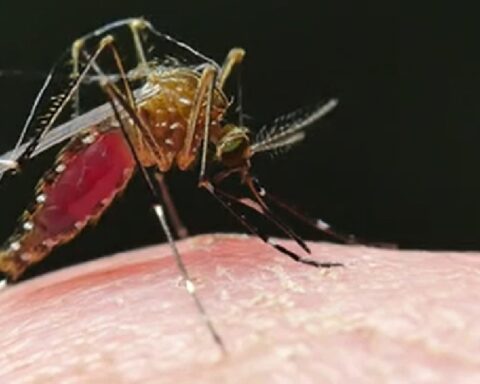 Régimen cubano reconoce la existencia de nueve menores en estado crítico por chikungunya y dengue