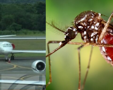 Aeropuerto de RD realiza controles especiales tras tres casos de chikungunya identificados en pasajeros procedentes de Cuba