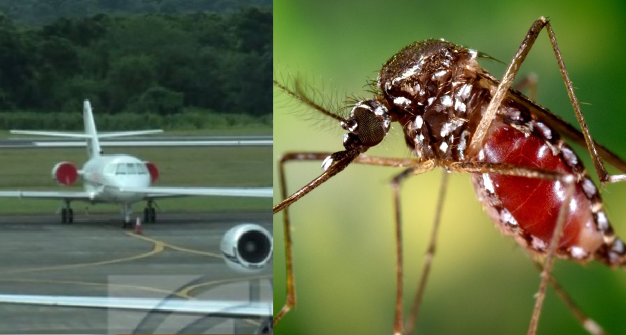 Aeropuerto de RD realiza controles especiales tras tres casos de chikungunya identificados en pasajeros procedentes de Cuba