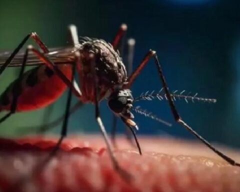 Prensa internacional denuncia el colapso sanitario en Cuba