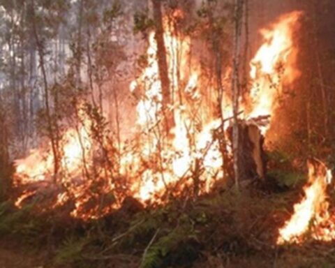 Pronostican temporada muy activa de incendios forestales en Pinar del Río en 2026