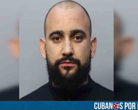 Arrestado sujeto en Miami-Dade por robar aguacates