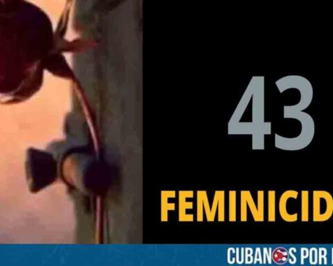Confirman el feminicidio de joven de 17 años en Matanzas; la cifra asciende a 43 casos