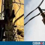 Denuncian robos de tendidos eléctricos en Holguín