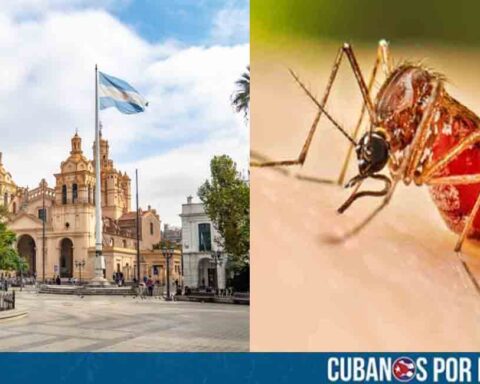 Argentina: Reportan caso de chikungunya en mujer que viajó a Cuba