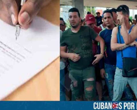 Red criminal en México falsificó documentos para cubanos y terminó desmantelada