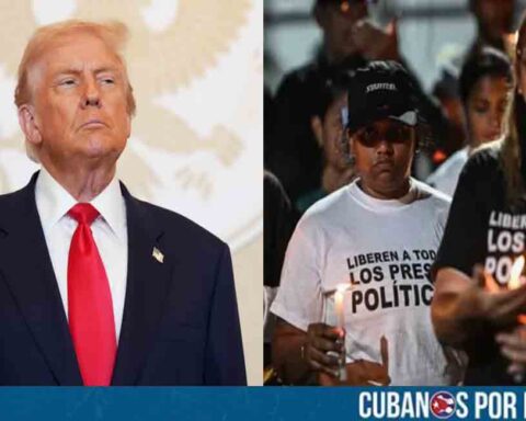 Trump se pronuncia sobre liberación de presos políticos en Venezuela: "Se prevé que este ritmo aumente"