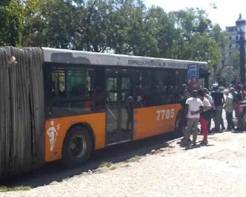 La Habana: Se paraliza transporte público por falta de combustible